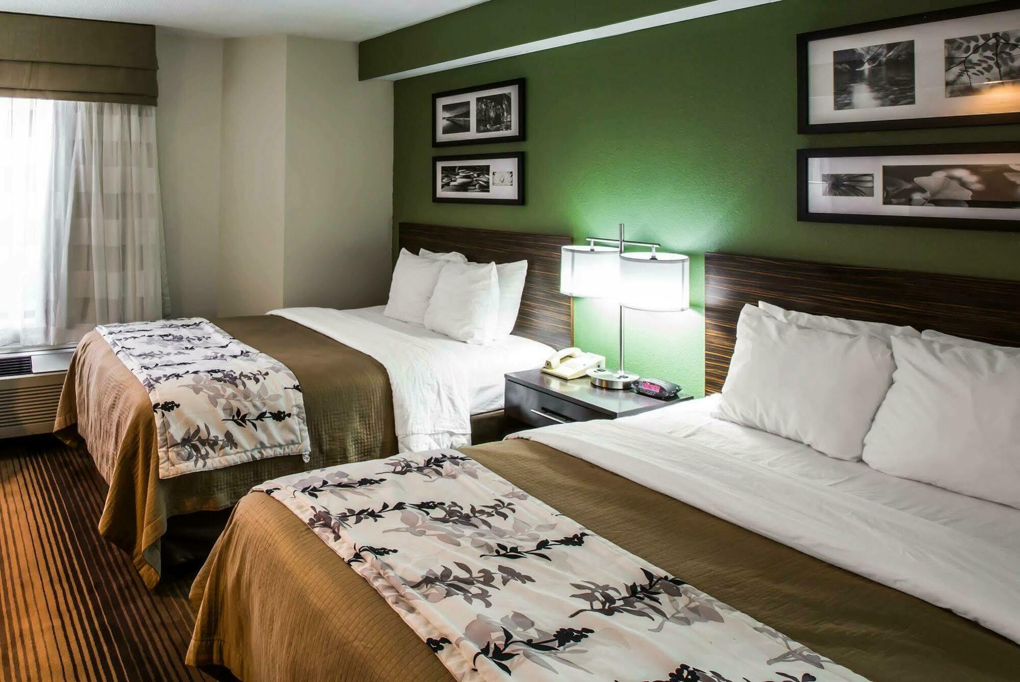 Sleep Inn & Suites Kingsport Tricities Airport Екстериор снимка